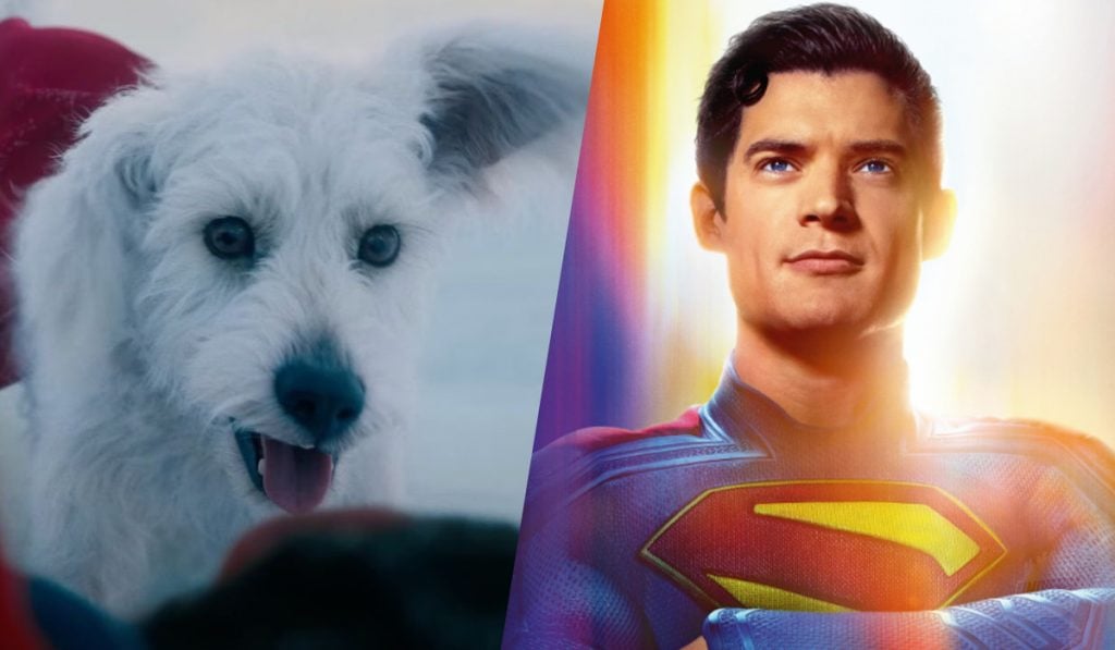 Busca por adoção de cachorros cresce muito no google após lançamento de Superman